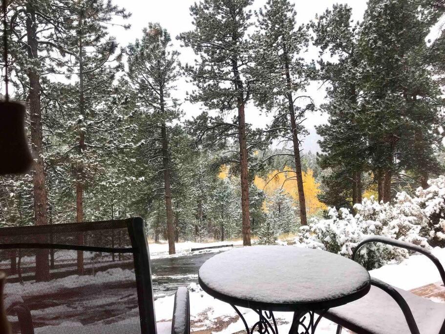 Private Hot Tub Overlooking Pikes Peak 伍德兰帕克 外观 照片